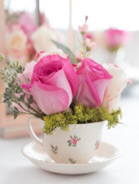 Roses IN Coffee Cup